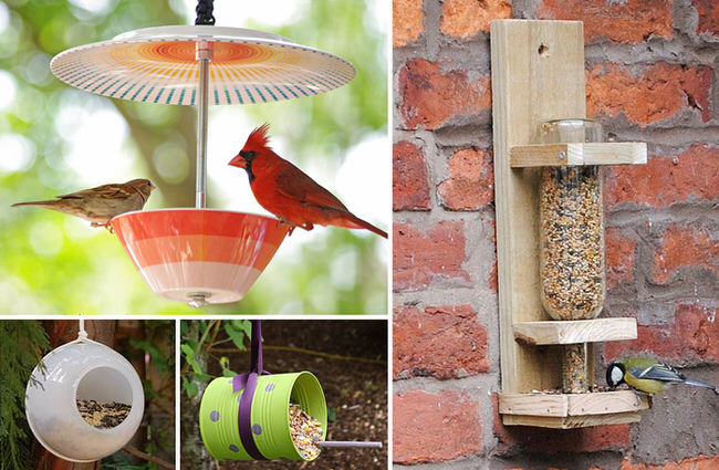 bird-feeder-feature