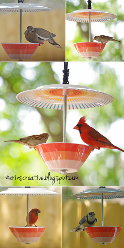 DIY Bird feeder