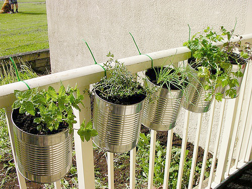 can-planters