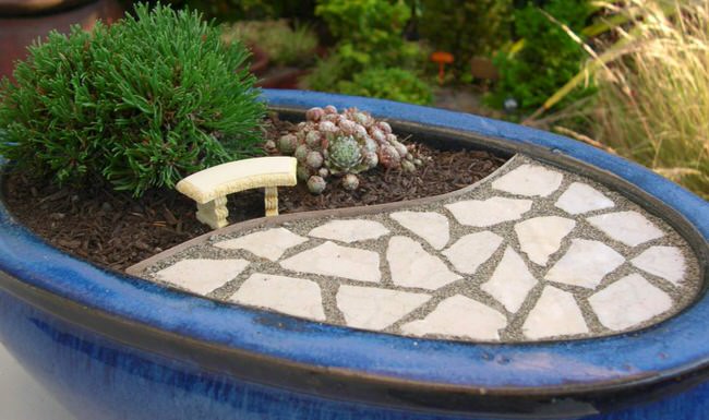 DIY miniature gardens