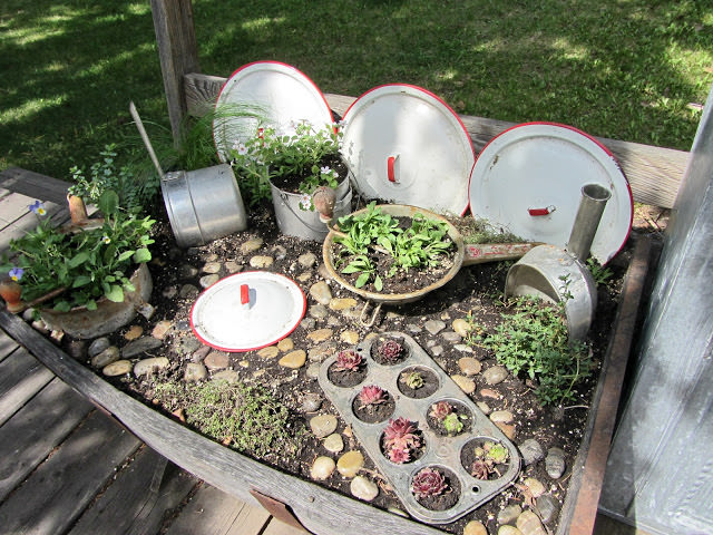 kitchen fairy garden 2