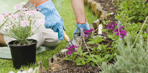 around-the-yard-spring-3