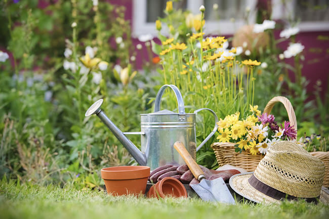 Spring garden checklist