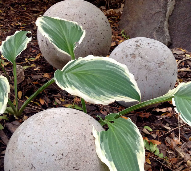 concrete garden globes