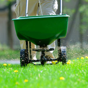 Fall lawn fertilizing