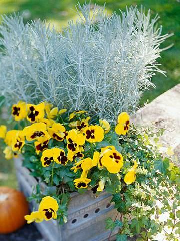 Fall Containers