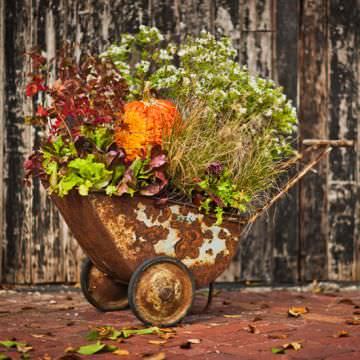 Fall Containers