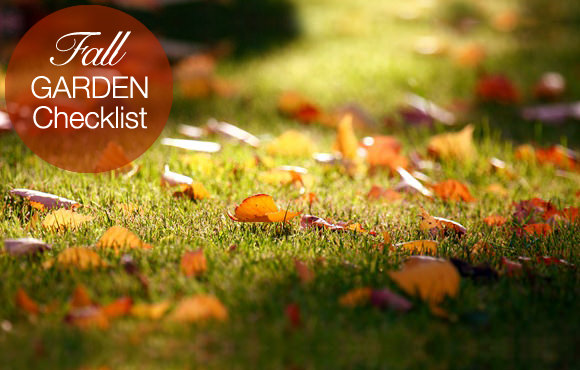 fall garden checklist