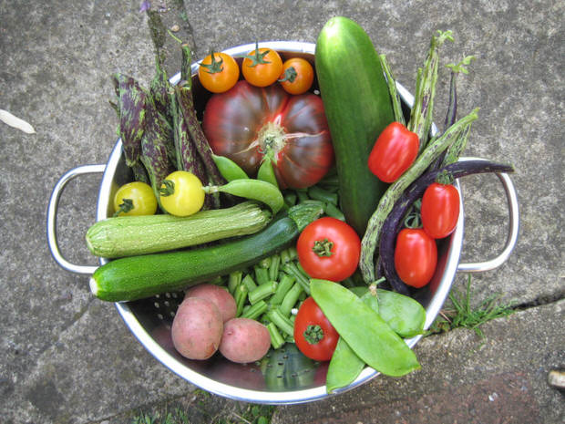 harvesting vegetables for flavor