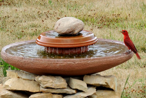 DIY bird bath ideas