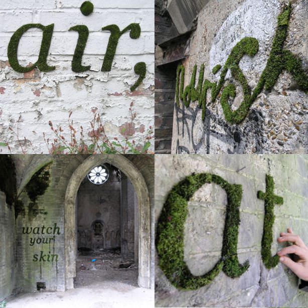 make moss graffiti