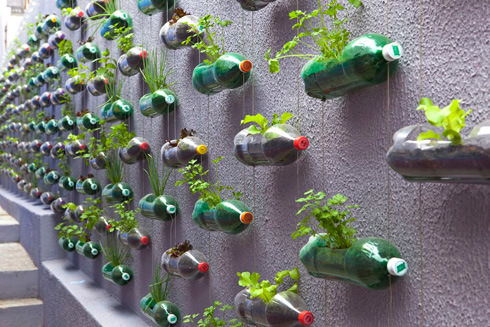 eco green upcycle vertical garden