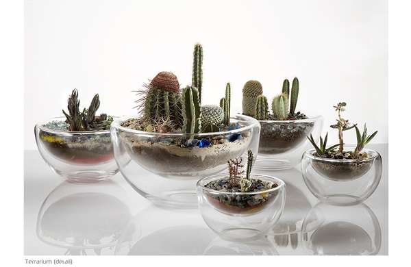 DIY terrariums