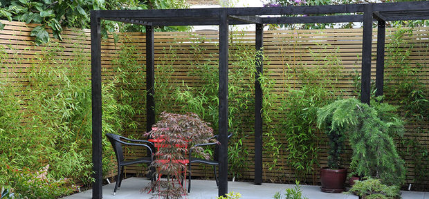 modernize your garden with bamboo