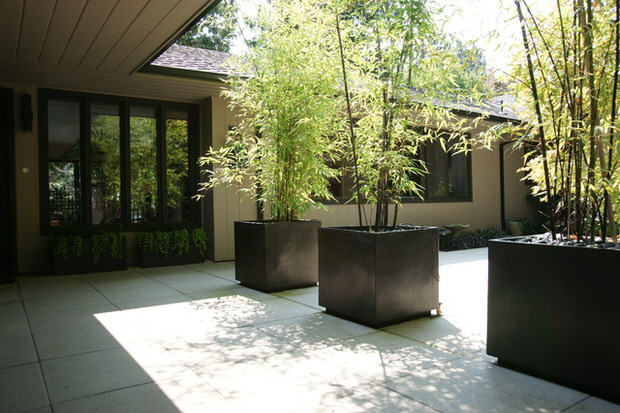 modernize your garden with bamboo