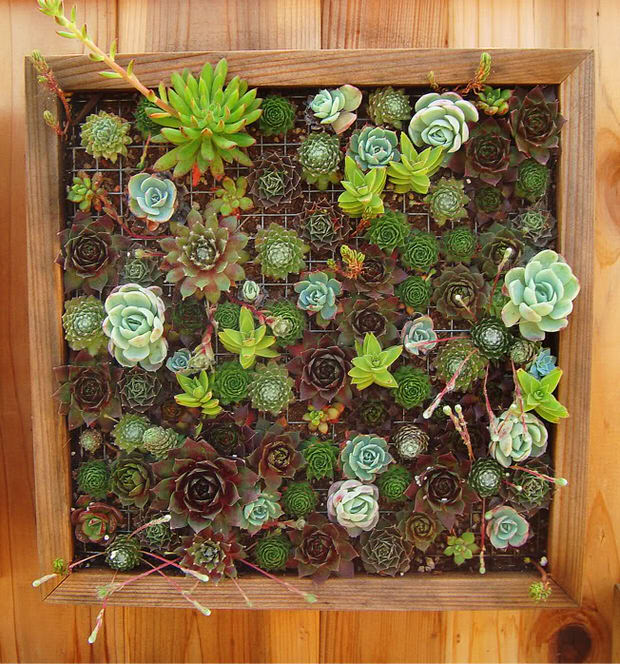 small space vertical garden framed