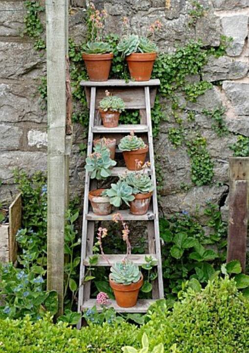 vertical-garden-ladder