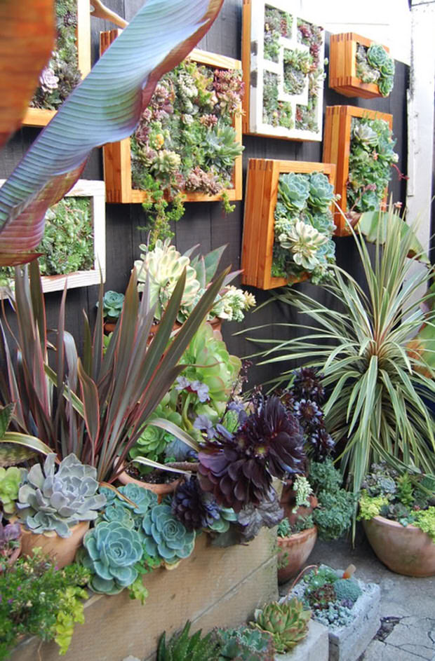 small space vertical garden wall