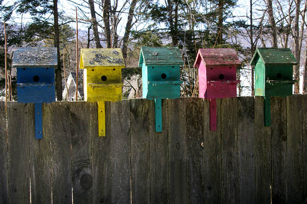 birdhouse