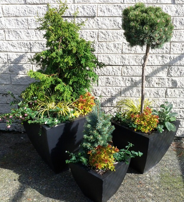 apartment container gardening