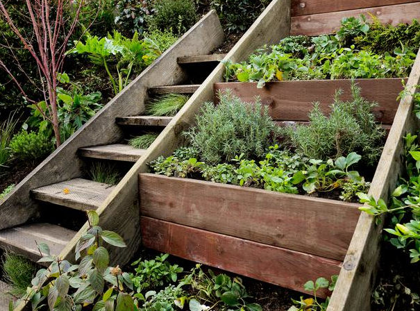 herb gardens