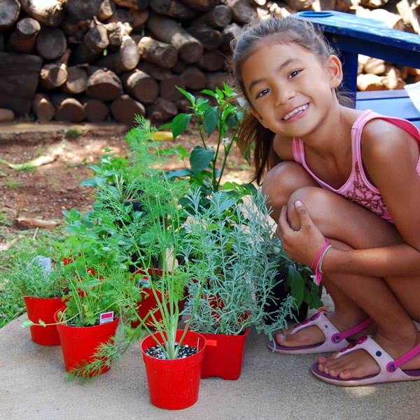 herb garden kids