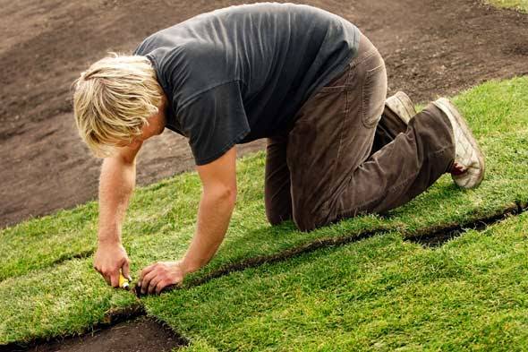 laying sod