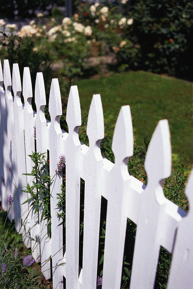 White Picket Fence