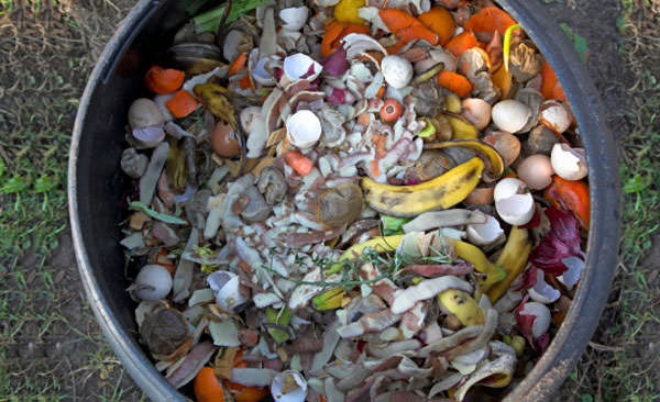 organic composting