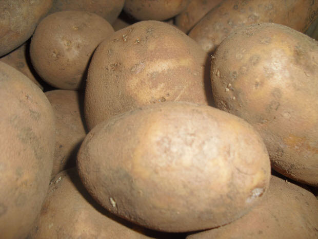 growing potatoes tips