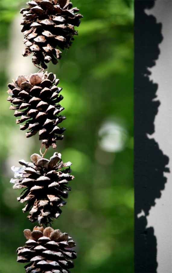 Pine cone rain chain