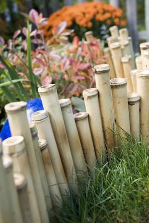 Bamboo edging