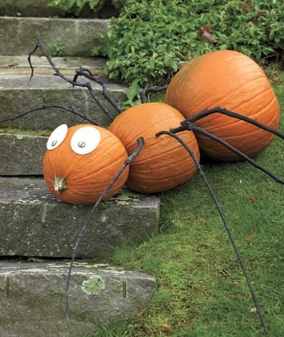Pumpkin SPider