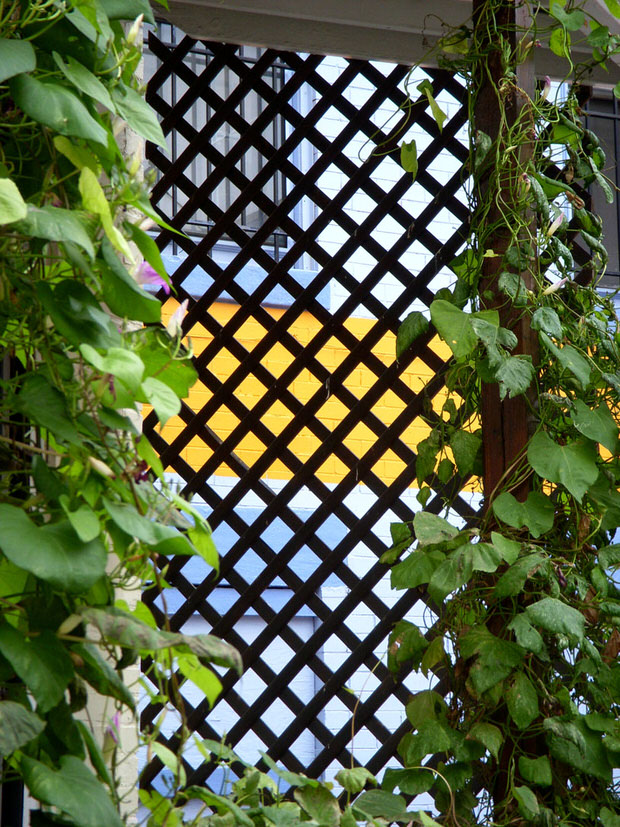 garden trellis