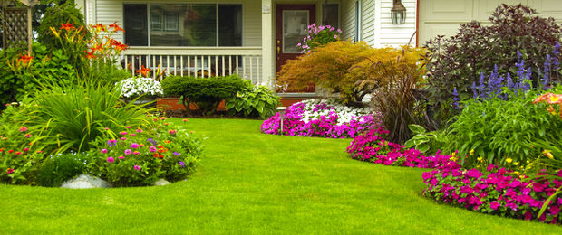 landscaped yard