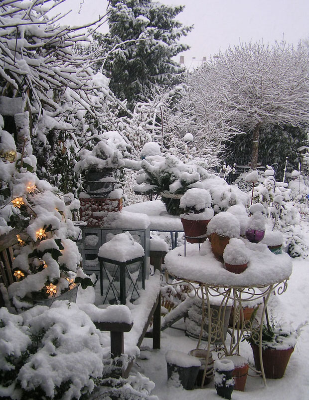 winter gardening tips