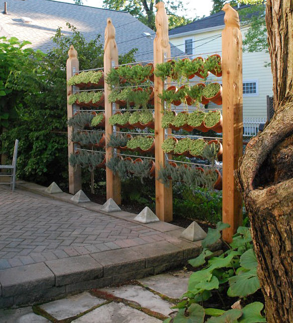 Plant wall privacy fence