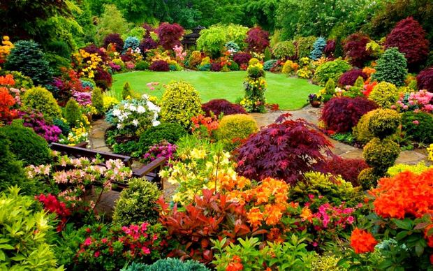 beautiful backyard gardens
