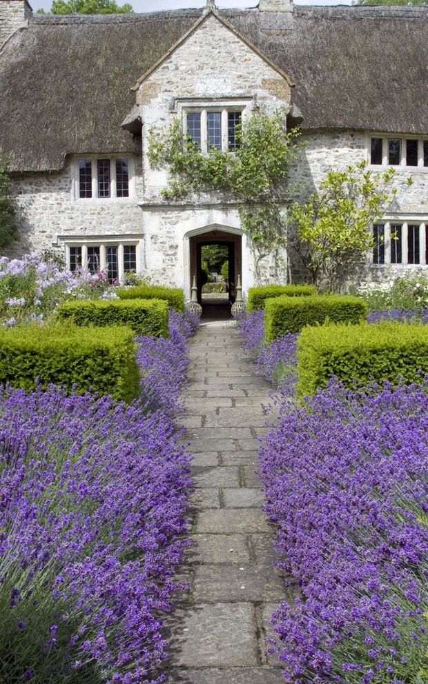 beautiful backyard gardens