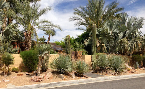 desert landscaping