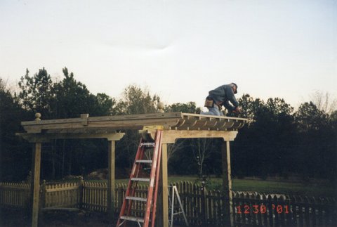 arbor in the side yard