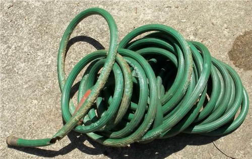 animal damage to hose