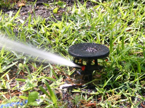 sprinkler