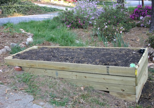 raised bed using ACQ wood