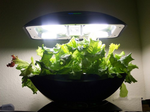 AeroGarden