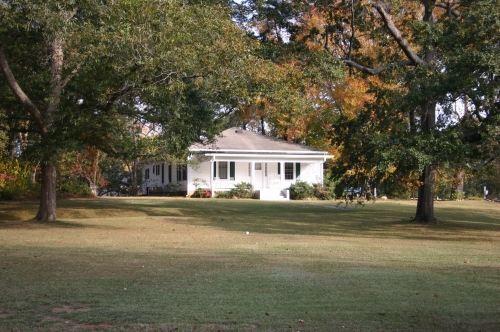 centipedegrass in fall