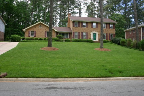 fescue lawn