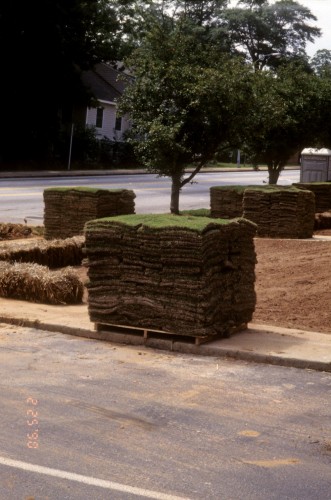 sod pallets 1000