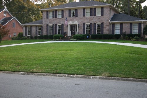 fescue lawn