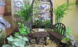 fairy garden1